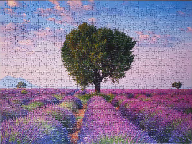 puzzle-59